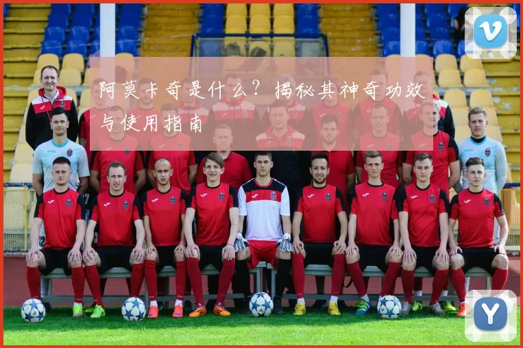 阿莫卡奇是什么？揭秘其神奇功效与使用指南