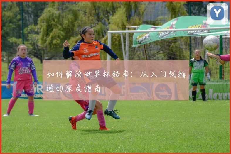 如何解读世界杯赔率：从入门到精通的深度指南