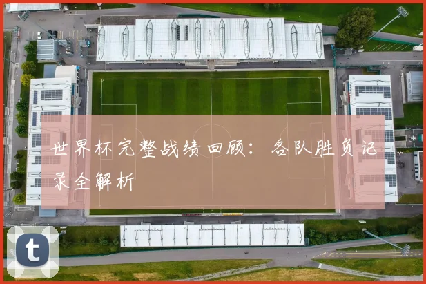 世界杯完整战绩回顾：各队胜负记录全解析